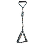 Dog Helios Surfside Designer Leash and Harness