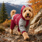 Dog Helios 'Vortex' Full Bodied Waterproof Windbreaker Dog Jacket