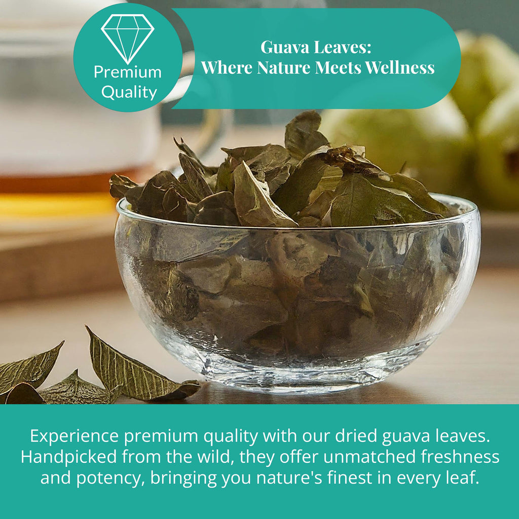 Akshit Dried Guava Leaves ( Hojas De Guayaba ) - 2.6 oz | Pure Guava Leaf for Tea | Feuilles de goyave | Caffeine free, Non GMO, Gluten-free, bio Akshit