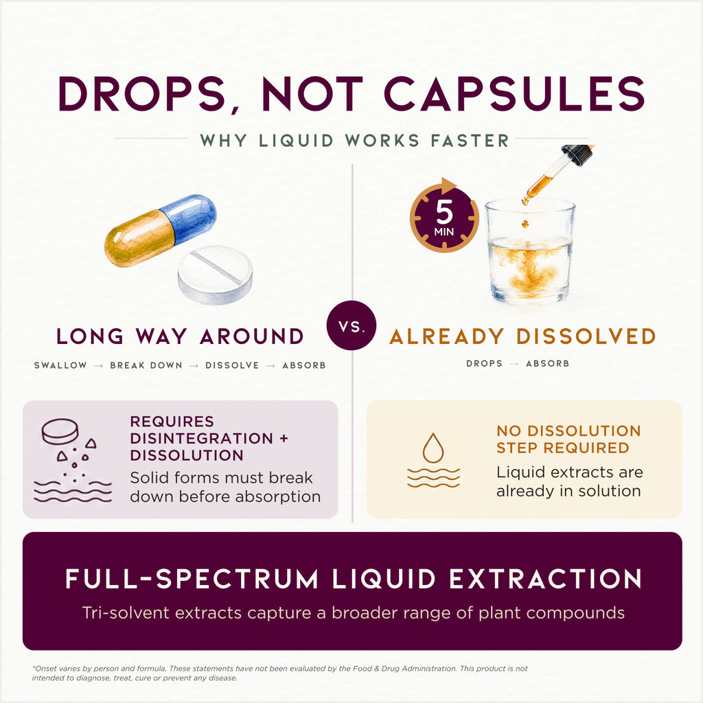Serious PM Cough, Soothing Syrup