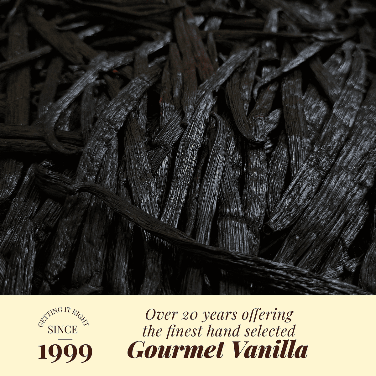 Grade A Vanilla Beans – Whole Vanilla Pods for Baking & Extract