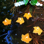 Floating Maple Leaf Beeswax Candles