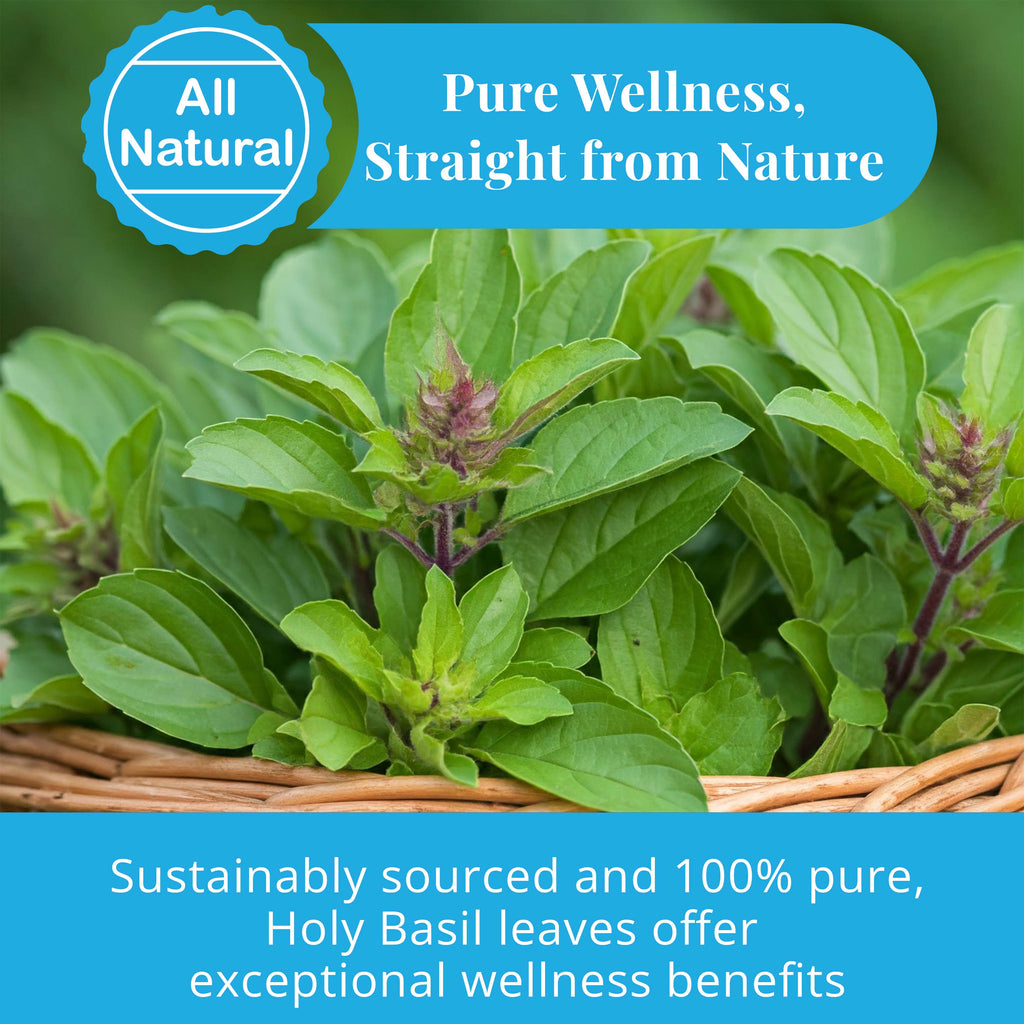 Dried Holy Basil Leaves 2.6 oz | Tulsi Tea | Akshit