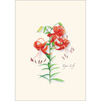Garden Favorites Assortment Greeting Cards