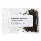 Mini Native Tall Bird Lovers Seed Mix | Prairie Legacy Inc.