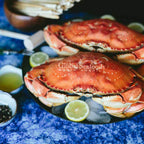 Whole Cooked Dungeness Crab | 10 lb