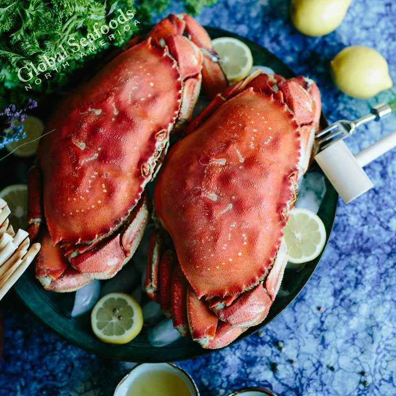 Whole Cooked Dungeness Crab | 10 lb