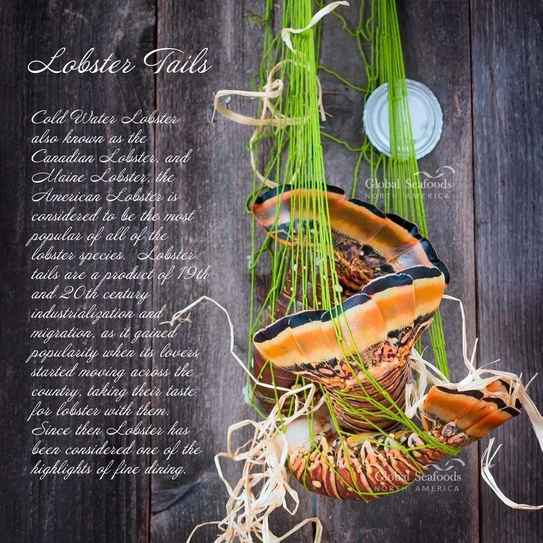 Caribbean Lobster Tails | Wild-Caught, Frozen