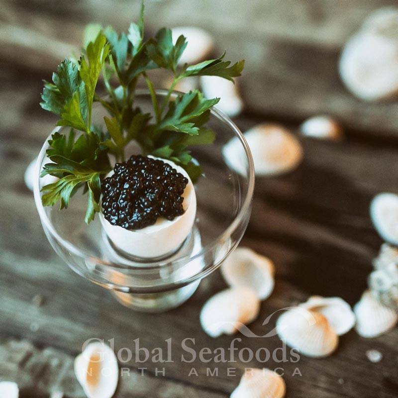White Sturgeon Caviar – California Farm-Raised