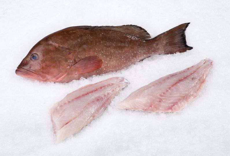 Wild-Caught Grouper Fillets – 1 lb or 10 lb Case