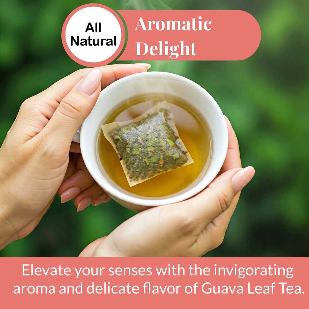 Guava Leaf Tea Bags – 50 Count | Caffeine-Free Herbal Tea