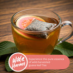 Guava Leaf Tea Bags – 50 Count | Caffeine-Free Herbal Tea