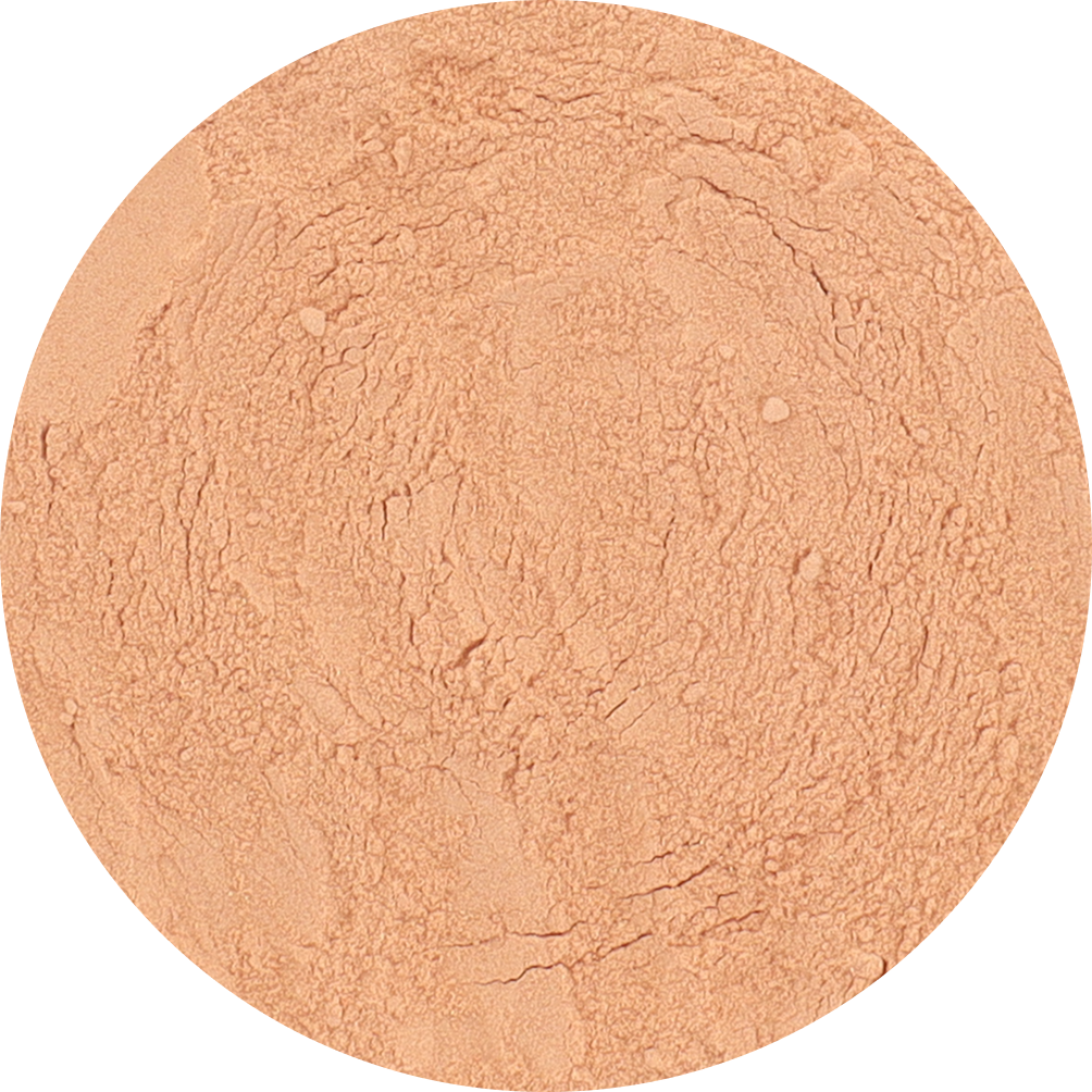 Freeze Dried Guava Powder