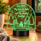 Inspirational LED Lighted Plaque | You Were My Favorite Hello and My Hardest Goodbye | Glowing Creation