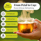 Papaya Leaf Tea Bags – 75 Count | Caffeine-Free Herbal Tea