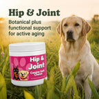 Hip & Joint Support Soft Chews for Dogs | Pack of 3 | 60 Chews - 6.35 oz | LivHerbals, Inc.