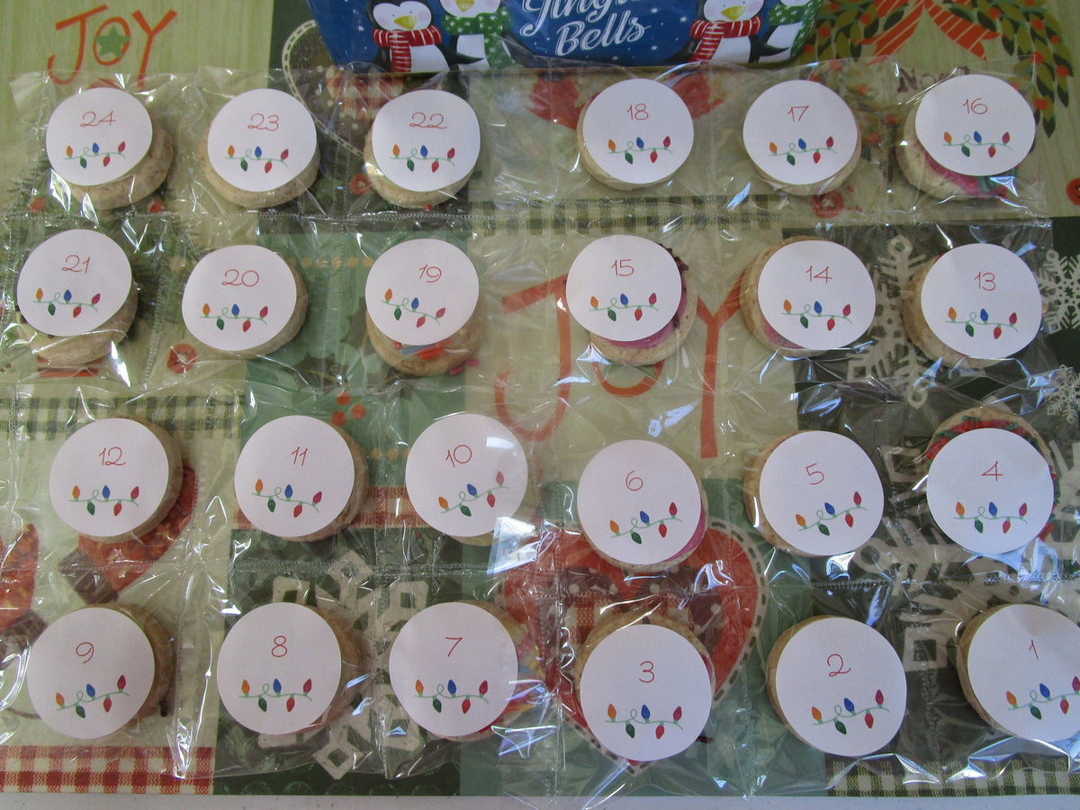 High Protein Cookie Advent Calendar, Gluten Free, Vegan, Egg Free, Dairy Free, Anabolic, Fitness Gift, Vegan Collagen, Christmas Countdown