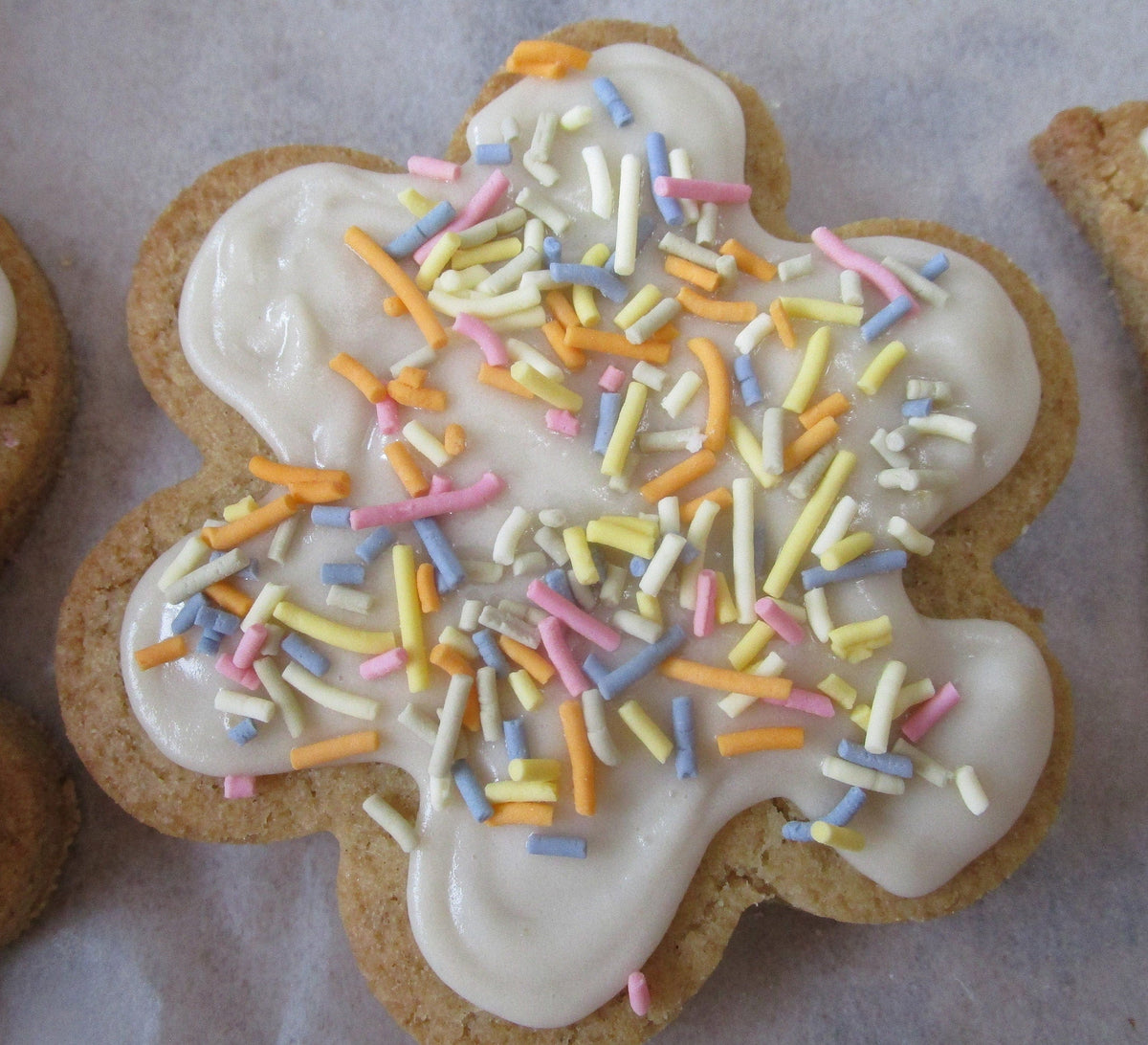 Gluten Free, Sugar Free Iced Cookies, Dairy Free, Egg Free, Vegan, Flowers, Butterfly, Tulip, Nut Free, Plant Based Colors, Birthday Gifts