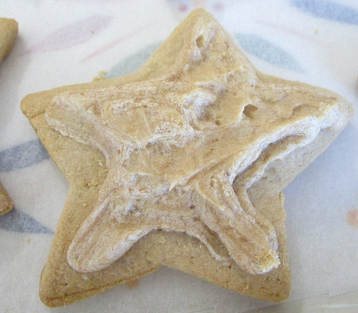 AIP Paleo, Maple Frosted Sugar Cookie, Vegan, Grain Free, Egg Free, Nut free, Dairy Free, Wellness Gift, 4th of July, Autoimmune Protocol
