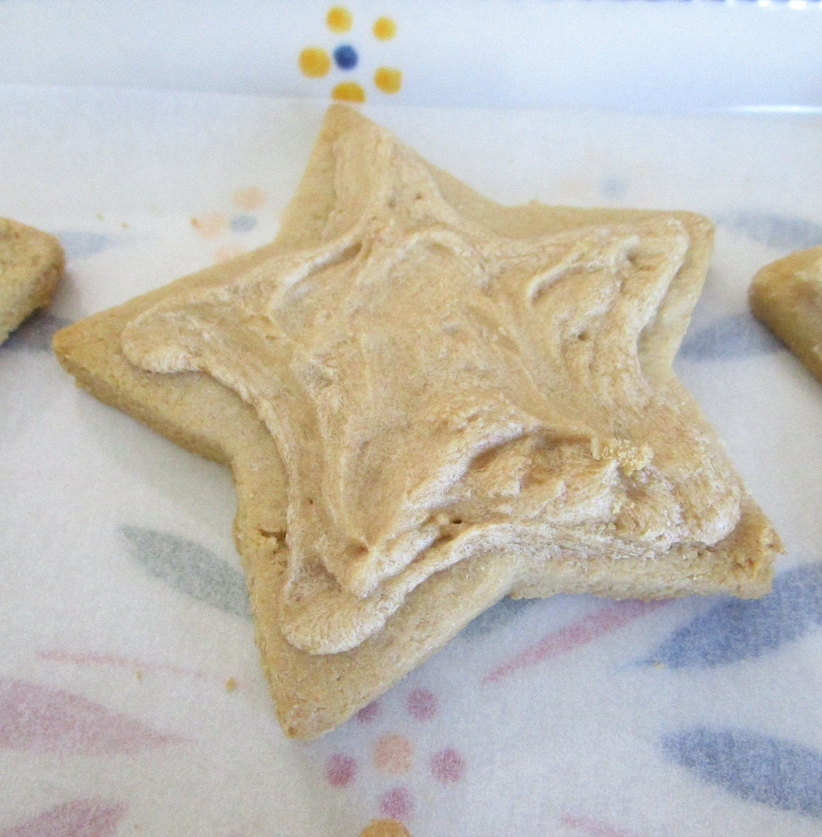 AIP Paleo, Maple Frosted Sugar Cookie, Vegan, Grain Free, Egg Free, Nut free, Dairy Free, Wellness Gift, 4th of July, Autoimmune Protocol