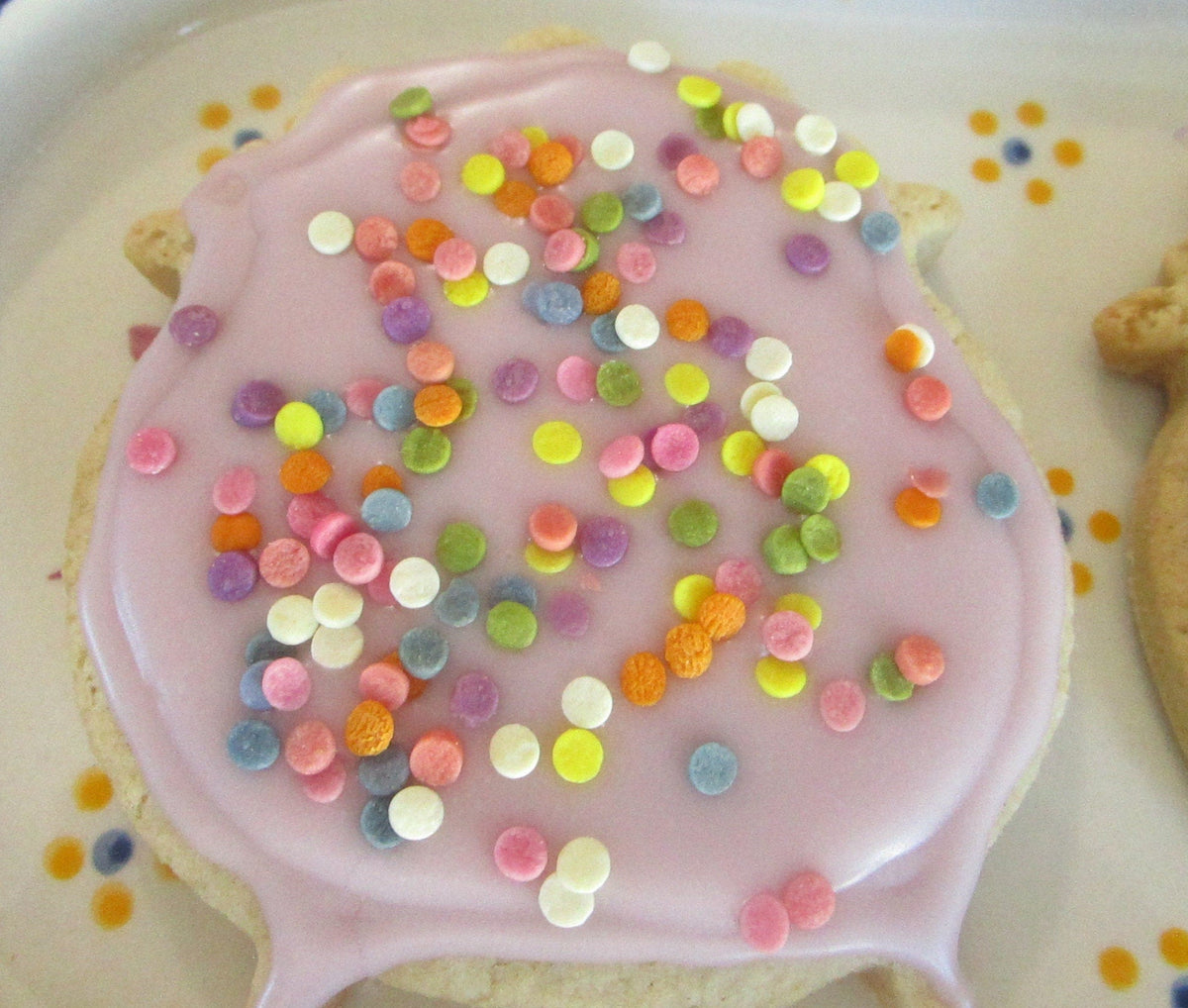 Gluten Free Iced Sugar Cookie Sampler, Dairy Free, Egg Free, Nut Free, School Safe, Vegan, Natural Colors, Birthday Dessert, Halloween treat