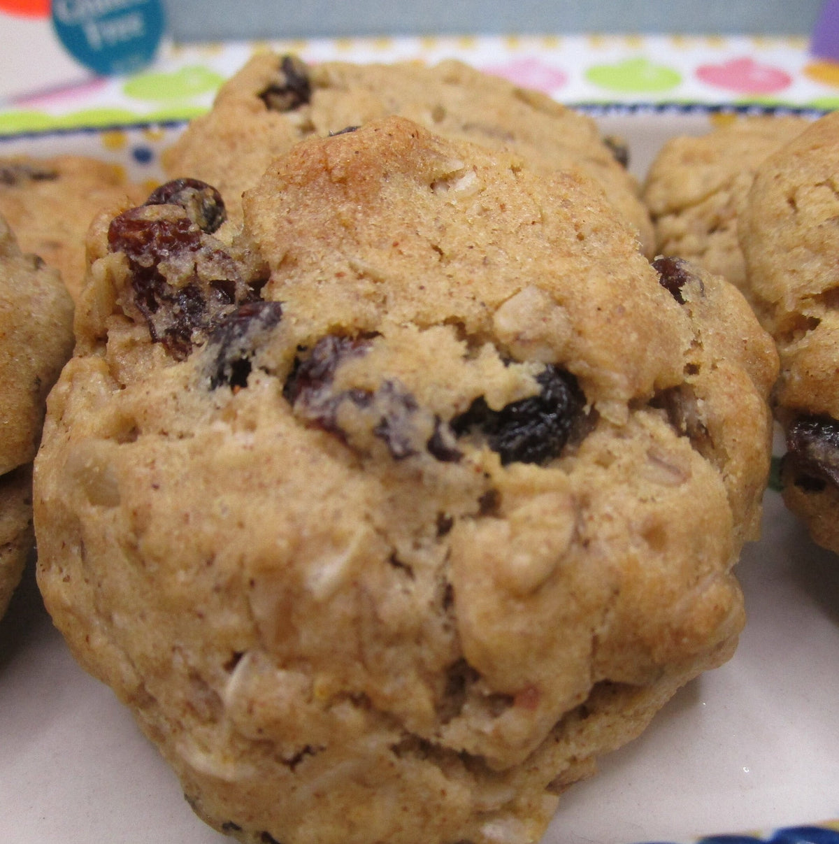 Gluten Free Cinnamon Raisin Oatmeal Cookies, Dairy Free, Egg Free, Vegan, Nut Free, Iced, School Safe, Apple Cinnamon, Fall Snack, Halloween