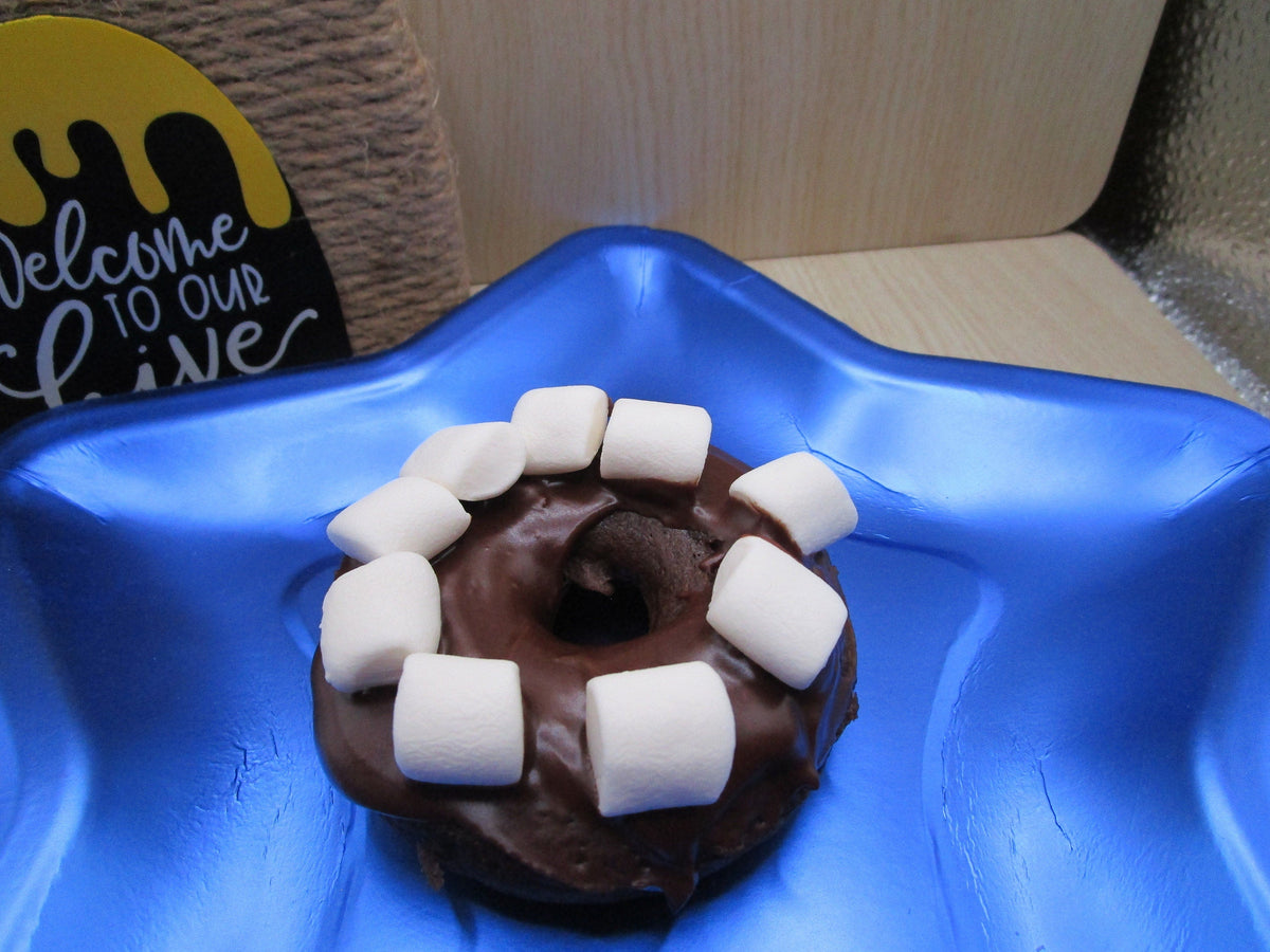 Smores Chocolate Donut, Gluten Free, Dairy Free, Egg Free, Glazed, Vegan, Nut Free, School Safe, Birthday Party, Marshmallow, Camp Fire Fun