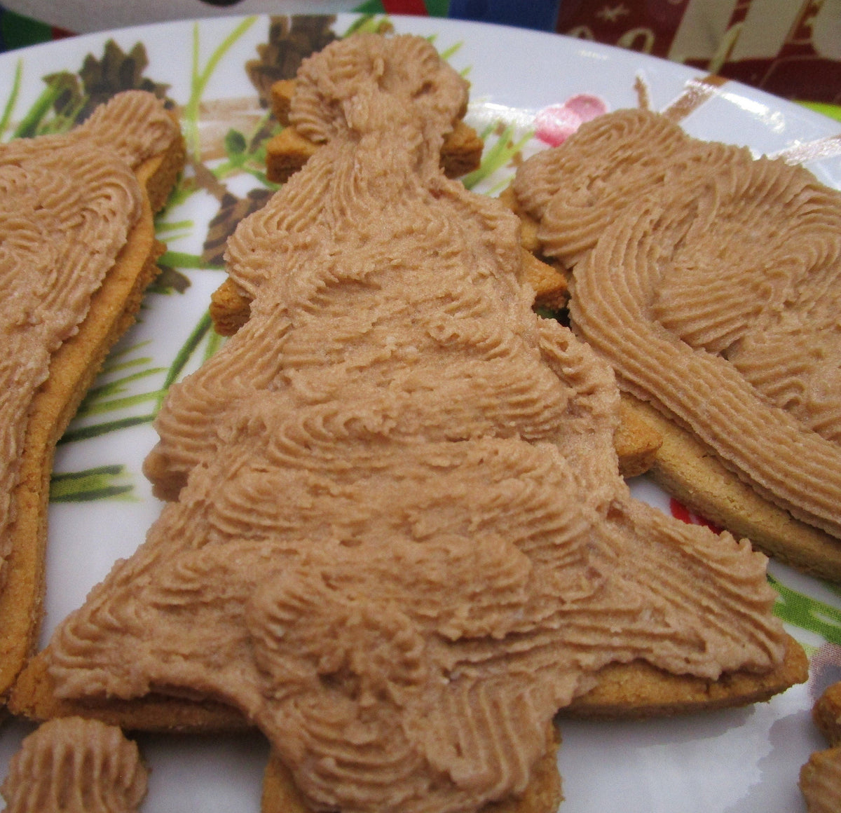AIP Palep Maple Frosted Holiday Cookies, Christmas /Hanukkah, Gluten Free, Dairy Free, Grain Free, Vegan, Autoimmune Protocol, Low Histamine