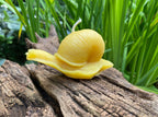 Snail Beeswax Candle