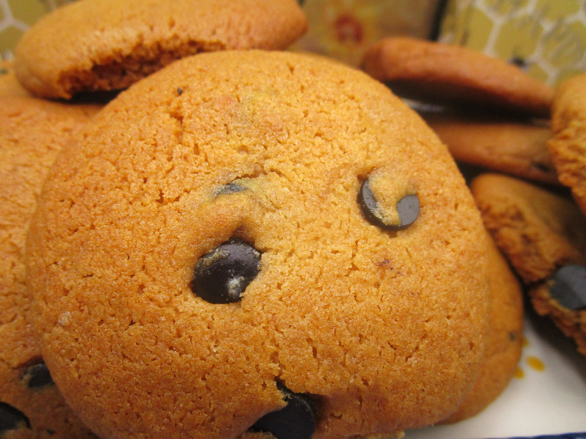 Gluten Free Cashew Cookies, Carob Chip, Vegan, Egg Free, Dairy Free, Healthy Snacks, Fitness, Agave Sugar, Soft & Chewy, Lunch Box Essential