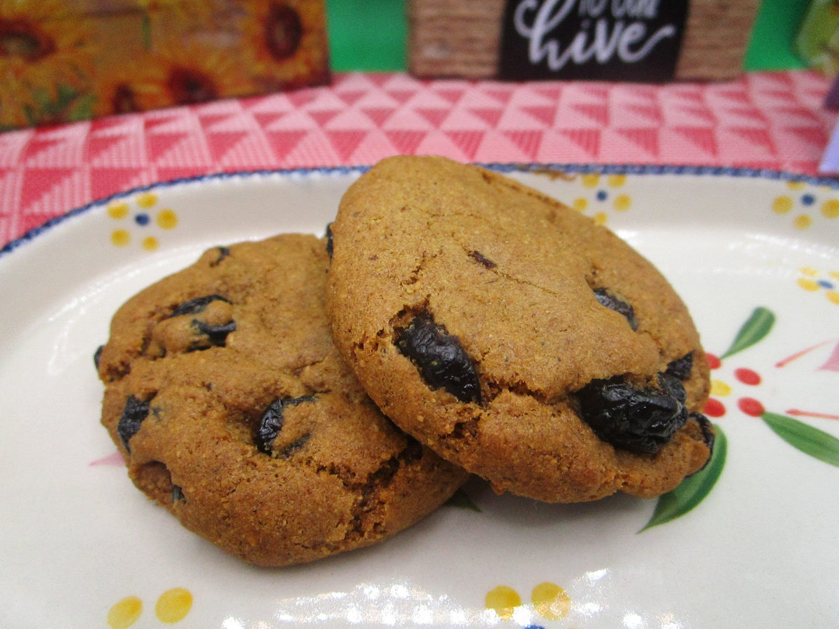AIP Paleo Cinnamon & Raisin Cookie, Grain Free, Gluten Free, Dairy Free, Egg Free, Cassava Free, Autoimmune Protocol Snack, Tiger Nut Flour