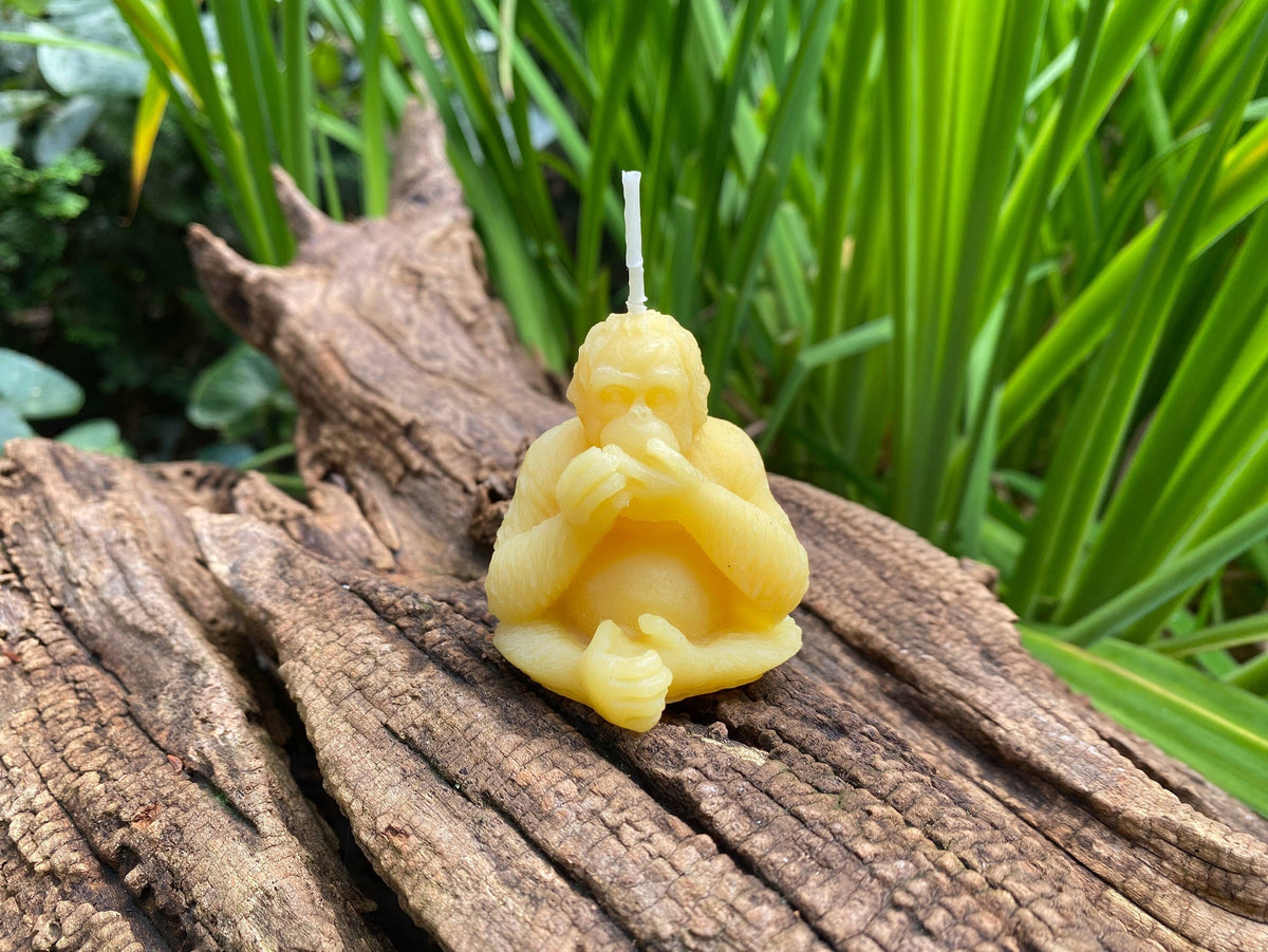 Orangutan Beeswax Candle