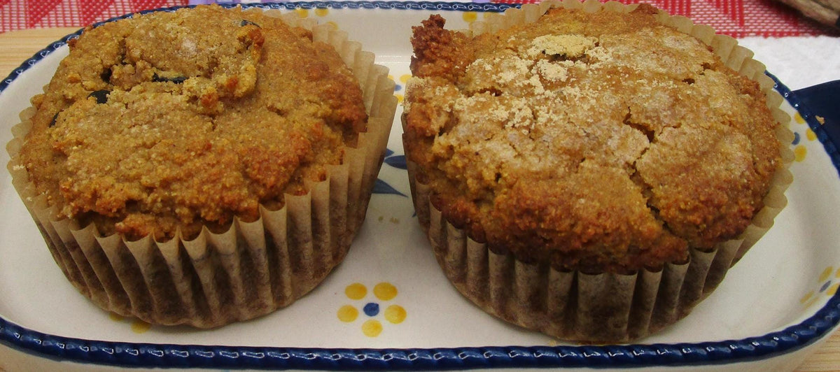 AIP Paleo Protein Muffins, Grain Free, Gluten Free, Dairy Free, Egg Free, Bovine, Nut Free, Low Fat Low Sugar, Autoimmune Protocol Breakfast