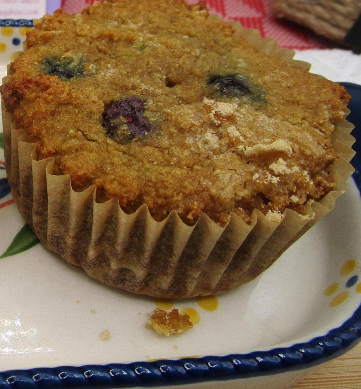 AIP Paleo Protein Muffins, Grain Free, Gluten Free, Dairy Free, Egg Free, Bovine, Nut Free, Low Fat Low Sugar, Autoimmune Protocol Breakfast