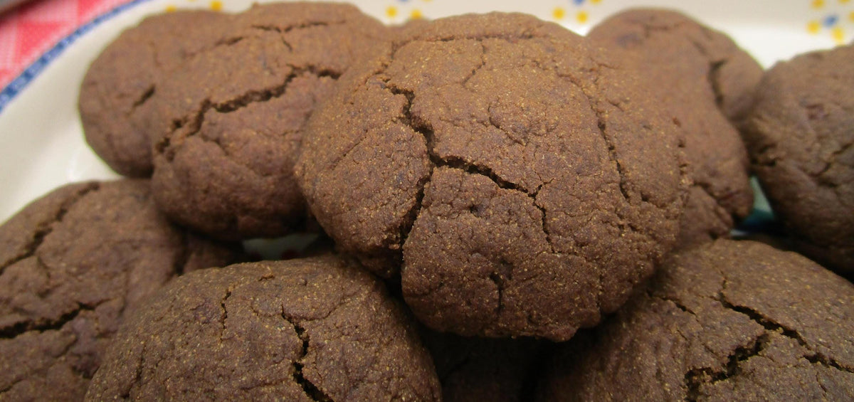 AIP Paleo Cookie, Cherry Carb, Gluten Free, Dairy Free, Egg Free, Vegan, Nut Free, Grain Free, Autoimmune Protocol snack, Holiday Dessert