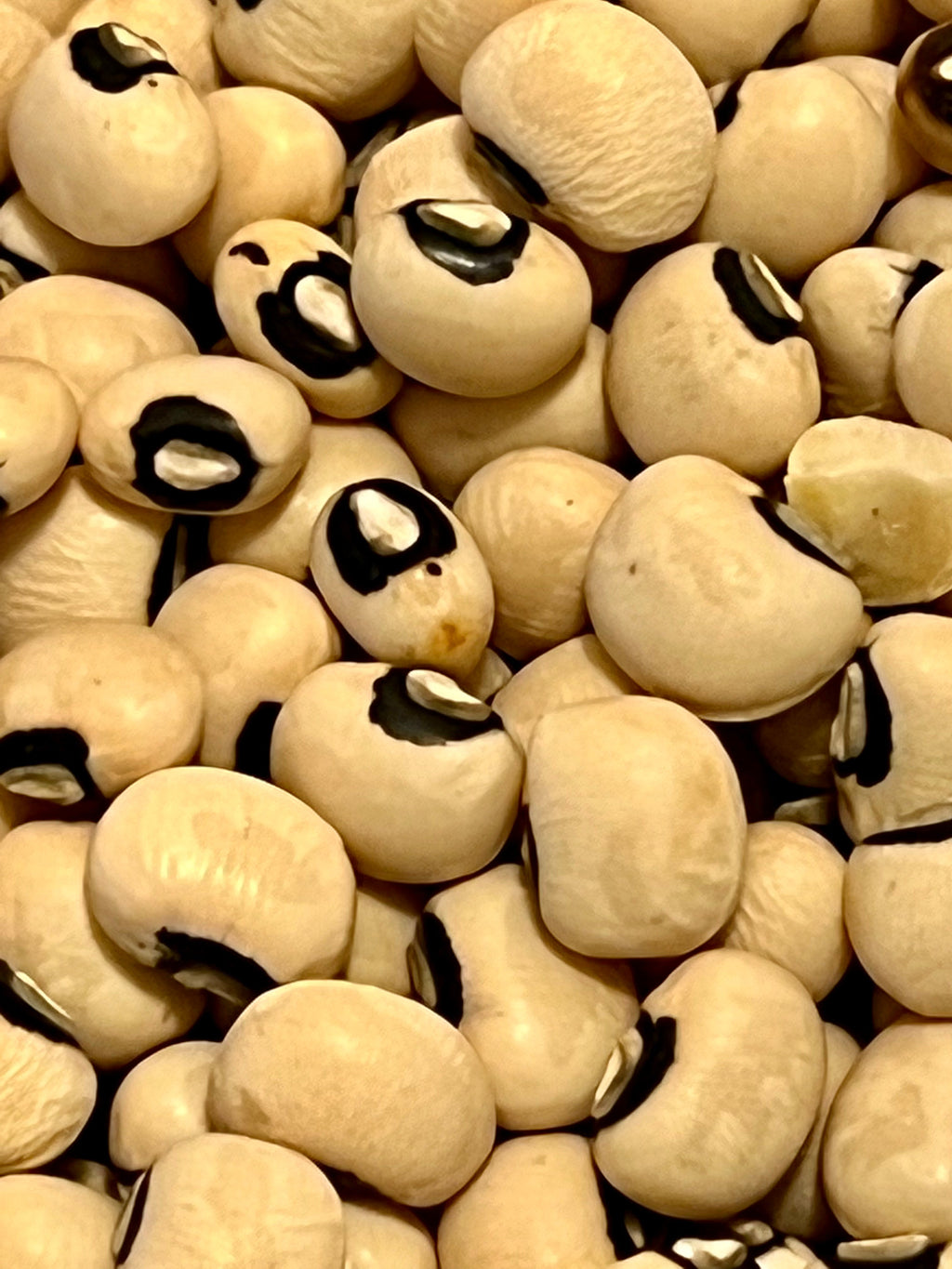 Ripkitty Organic Black Eyed Peas Seeds (Vigna Unguiculata) | Heirloom Garden Legume