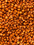 Ripkitty Premium Red Milo Sorghum Seeds (Sorghum Bicolor) | Drought-Tolerant Cover Crop