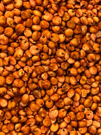Ripkitty Premium Red Milo Sorghum Seeds (Sorghum Bicolor) | Drought-Tolerant Cover Crop