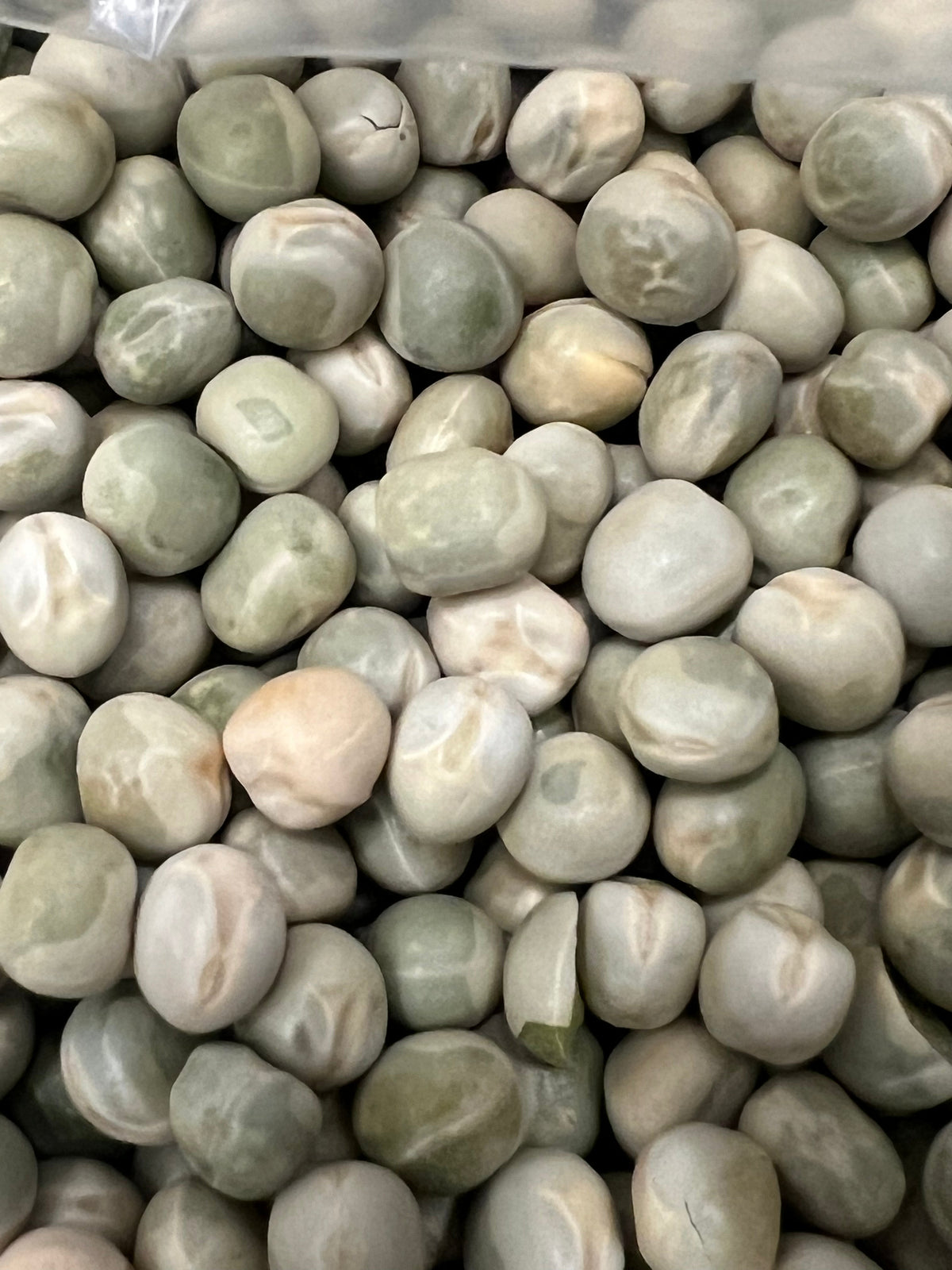 Ripkitty Premium Green Pea Seeds (Pisum Sativum) | Heirloom Garden Legume