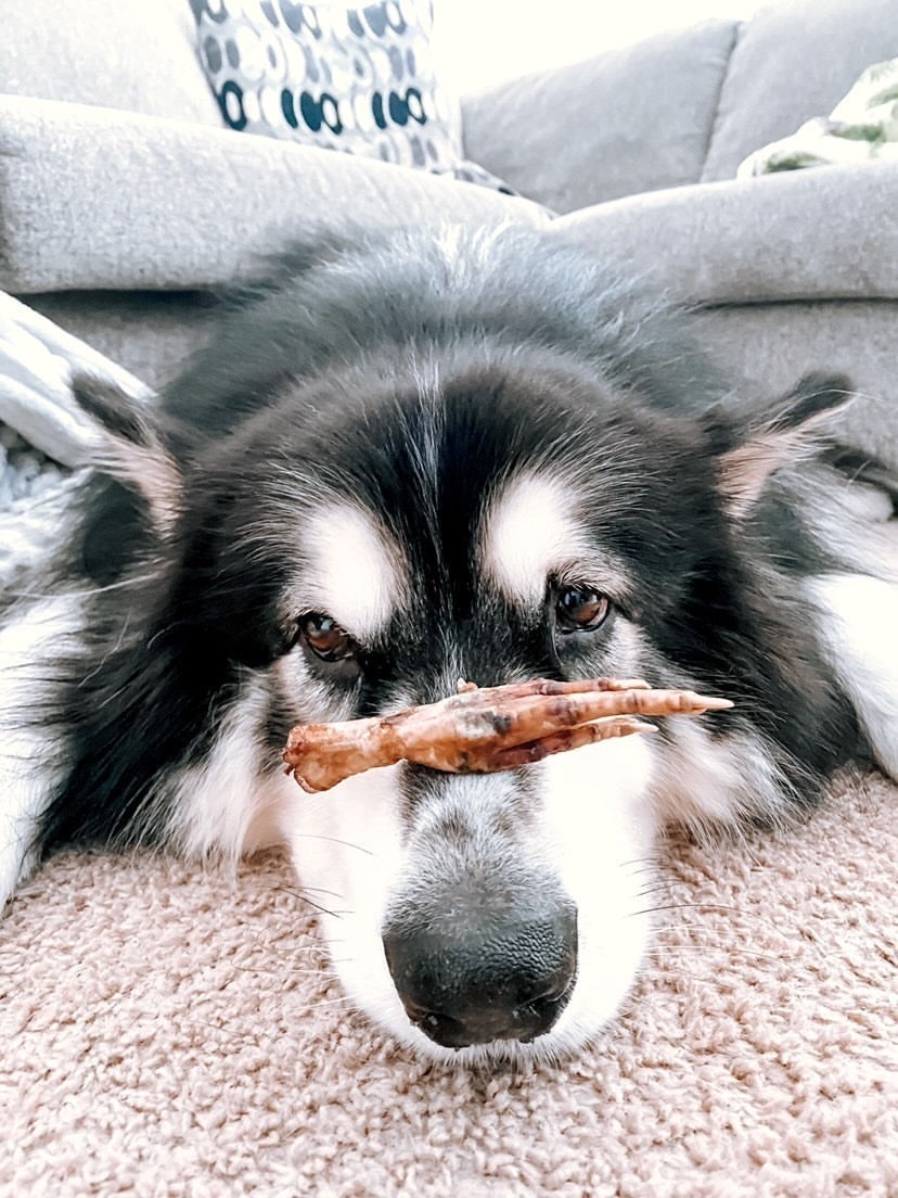 Chicken Feet