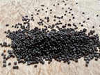 Ripkitty Premium Blue Poppy Seeds | Ornamental Spanish Garden Flowers
