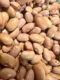 Ripkitty Premium O'odham Pink Bean Seeds | Heirloom Desert Legume