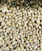Ripkitty Premium Raw Viable Sprouts Organic Whole Hemp Seeds