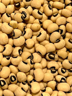 Ripkitty Organic Black Eyed Peas Seeds (Vigna Unguiculata) | Heirloom Garden Legume