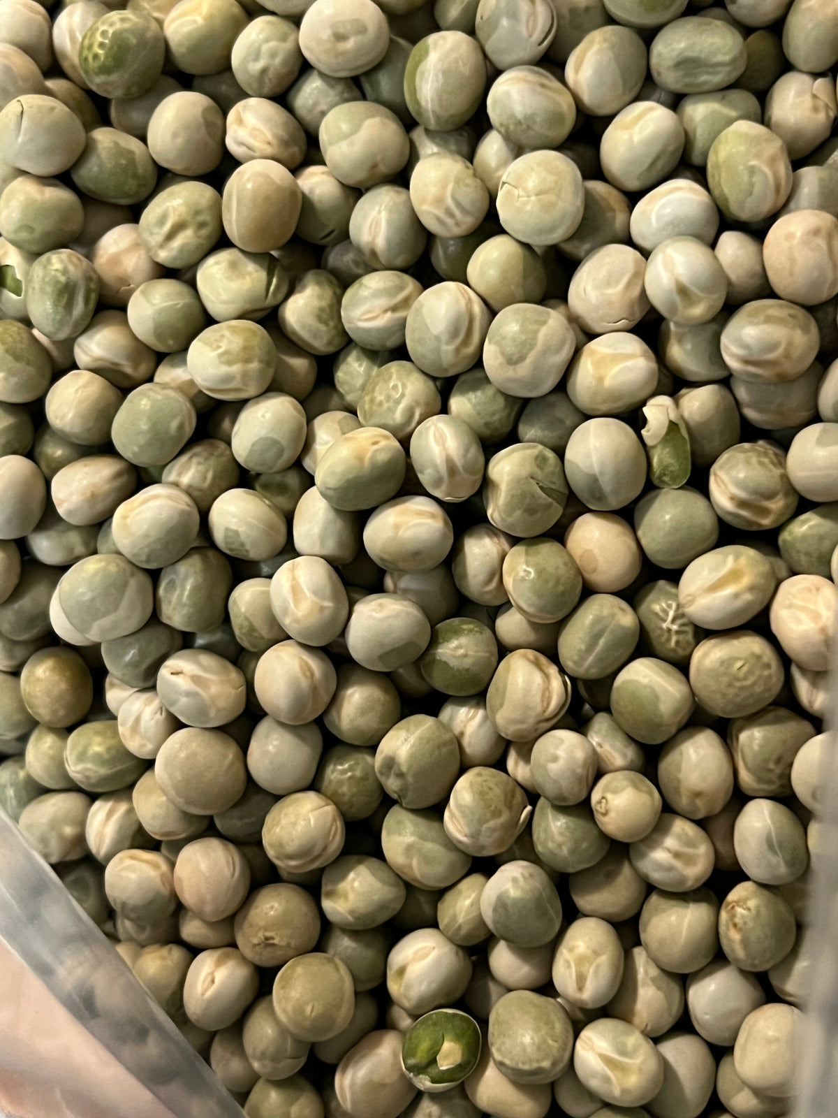 Ripkitty Premium Green Pea Seeds (Pisum Sativum) | Heirloom Garden Legume