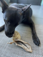 Lamb Ears (Furry & Non Fur)