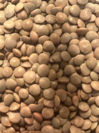 Ripkitty Premium Masoor Lentil Seeds (Lens Culinaris) | For Sprouting & Cooking