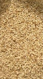 Ripkitty Premium White Poppy Seeds | Multicolor Ornamental Garden Flowers