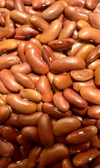 Ripkitty Premium Red Kidney Bean Seeds | Drought-Tolerant Garden Legumes