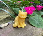 Kitten Beeswax Candle